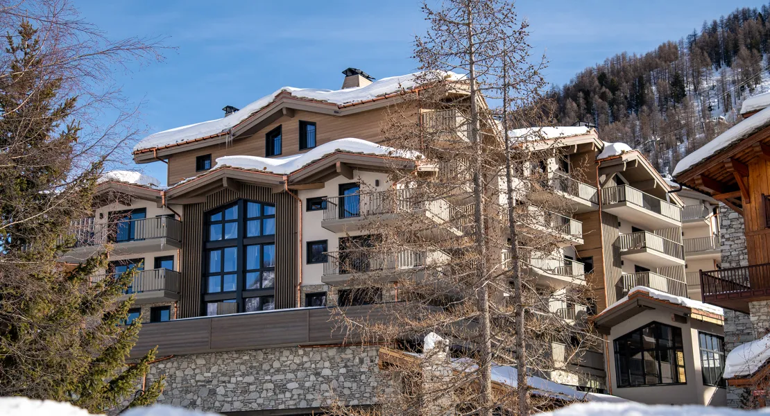 chalet montagne spa savoie